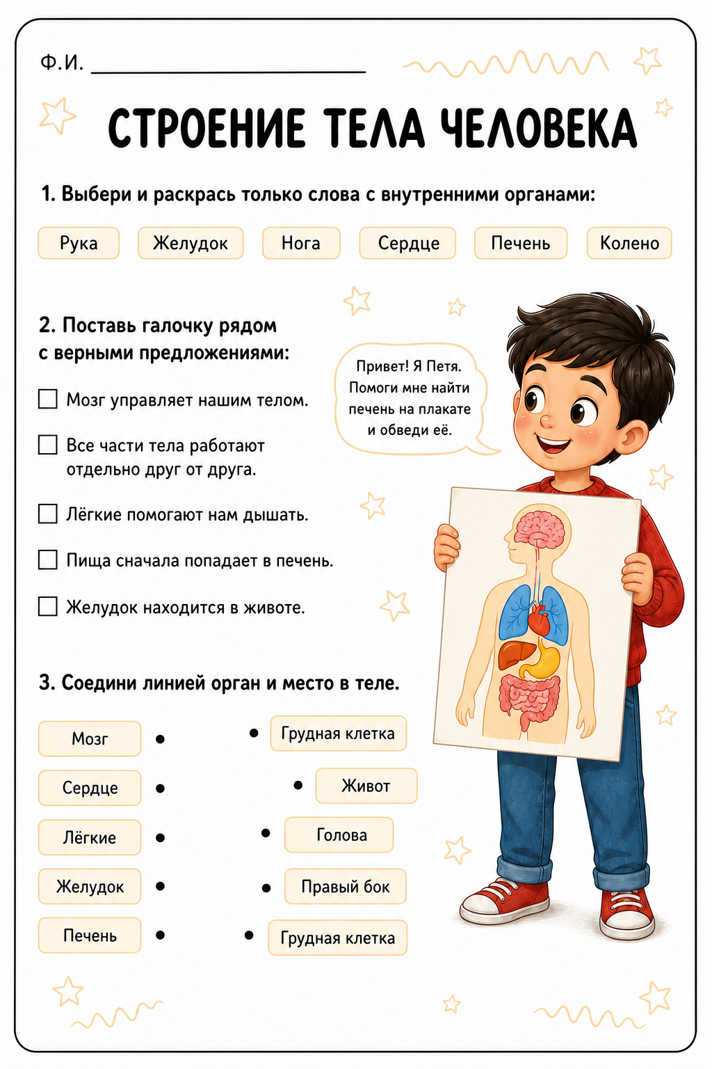 Строение тела человека